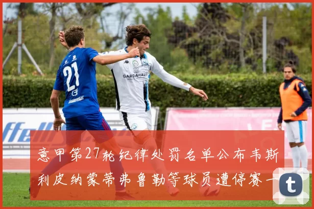 意甲第27轮纪律处罚名单公布韦斯利皮纳蒙蒂弗鲁勒等球员遭停赛一轮